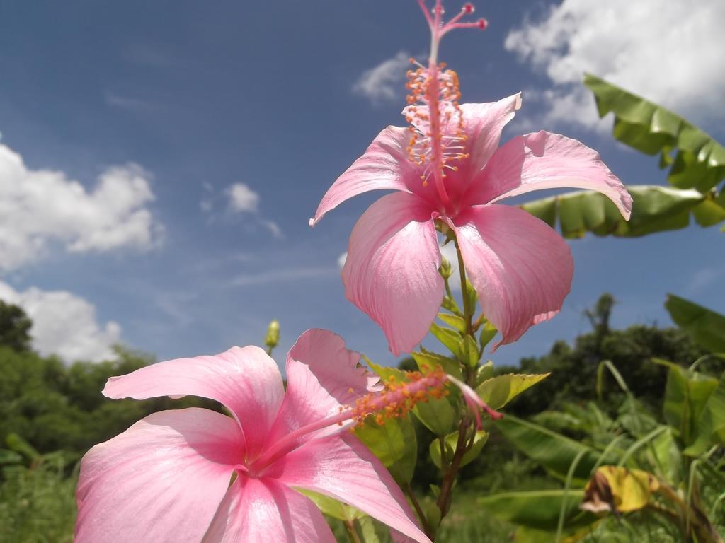 Yoisama Sunrise Beach House Ishigaki  المظهر الخارجي الصورة
